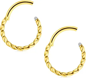 FECTAS Cartilage Earrings Hoop Nose Rings Helix Daith Tragus Earring Hinged Clicker Segment Lip Septum Ring
