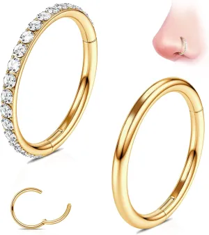 G23 Titanium Nose Rings Hoops: 2Pcs 20G 18G 16G Seamless Nose Hoop 6mm 7mm 8mm 9mm 10mm Septum Rings Hypoallergenic Lip Rings Cartilage Helix Daith Conch Tragus Rook Belly Button Piercing Jewelry